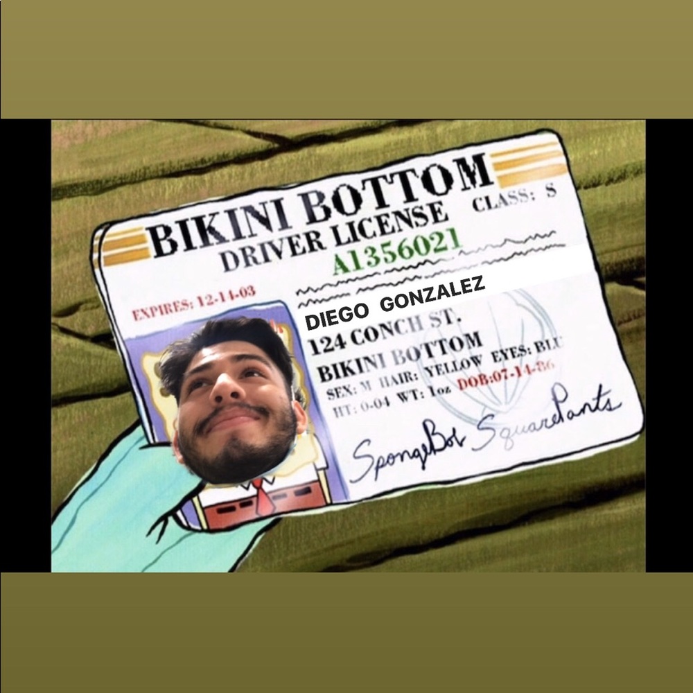 Meet your Posher, Diego